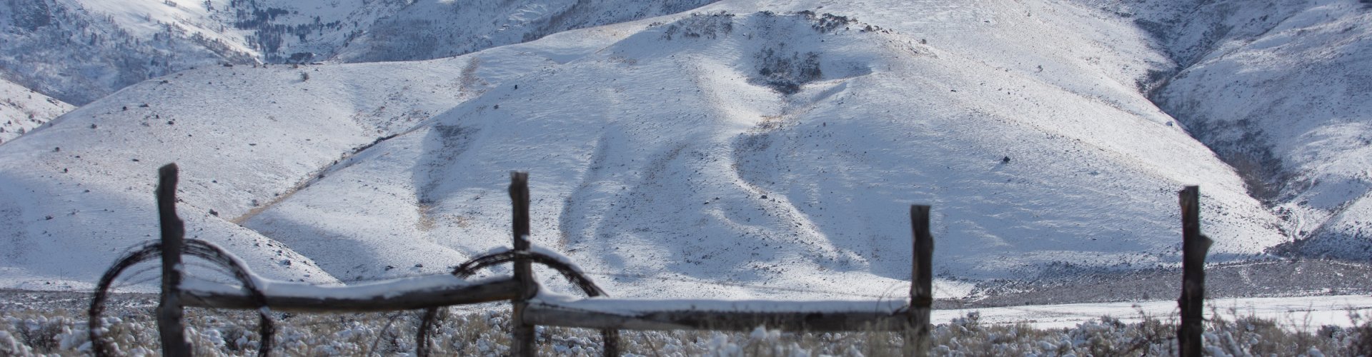 Scenic view at Elko, NV, US