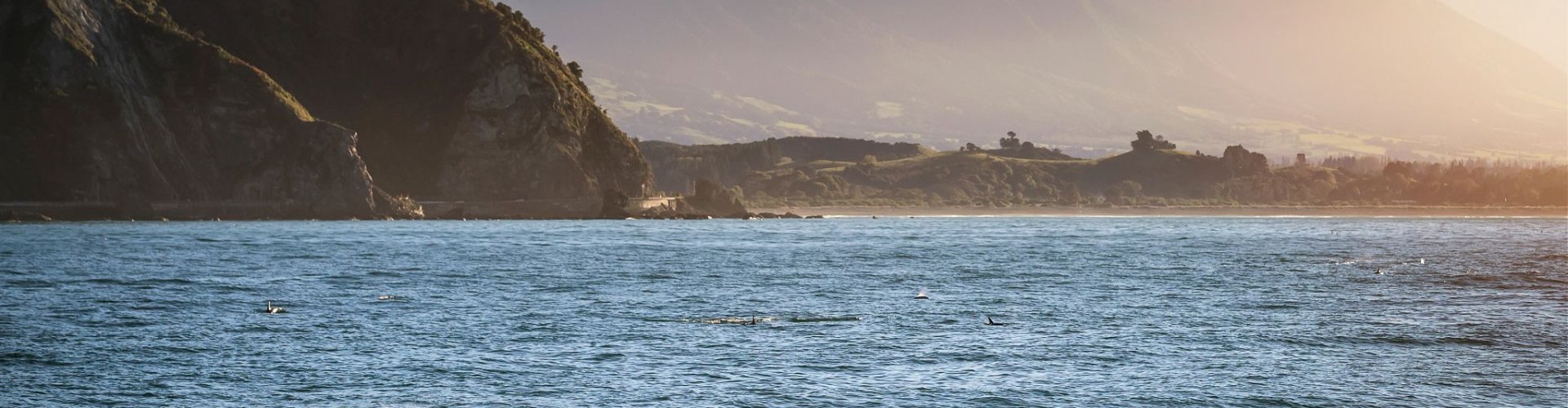 Kaikōura, nz