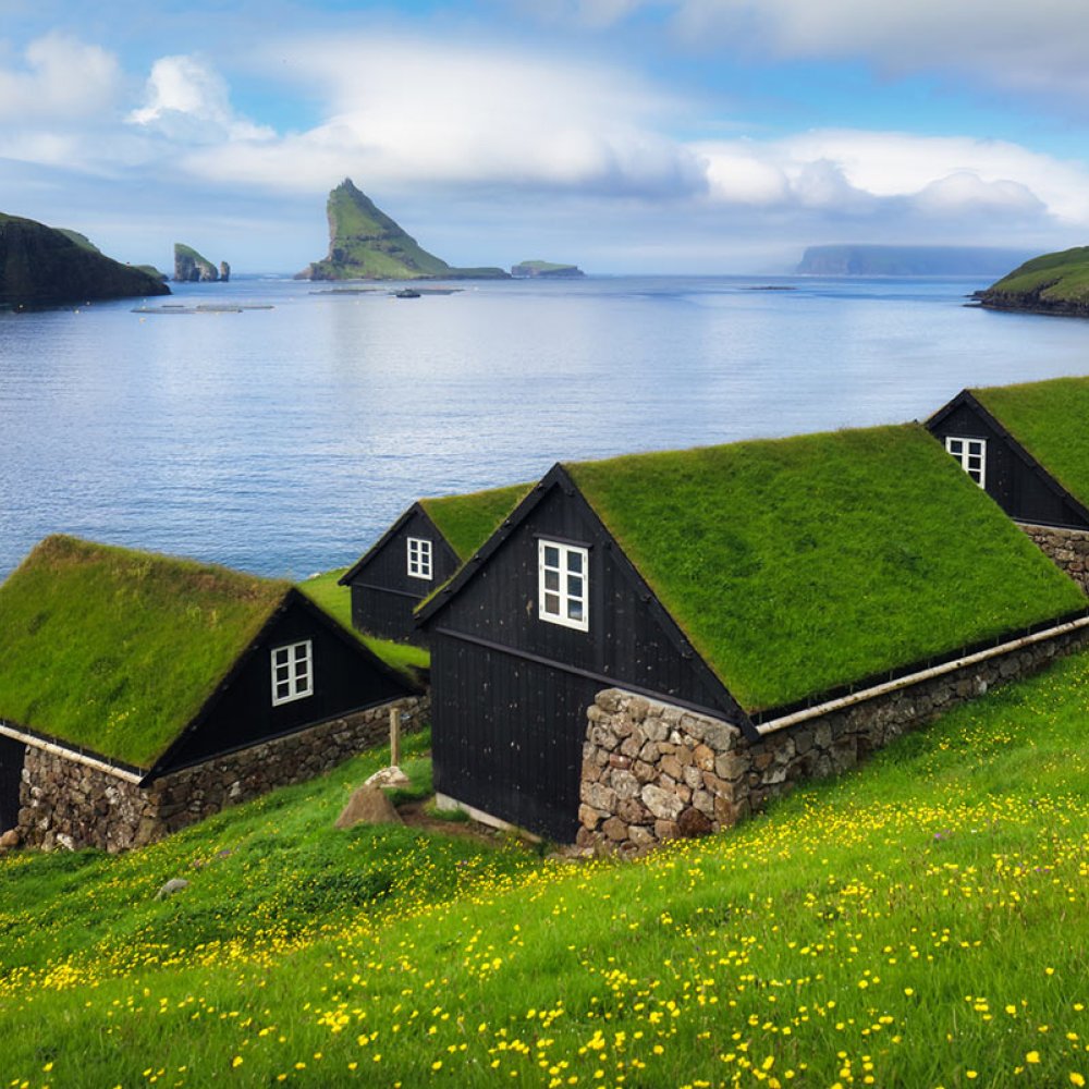 Standard Post with Image