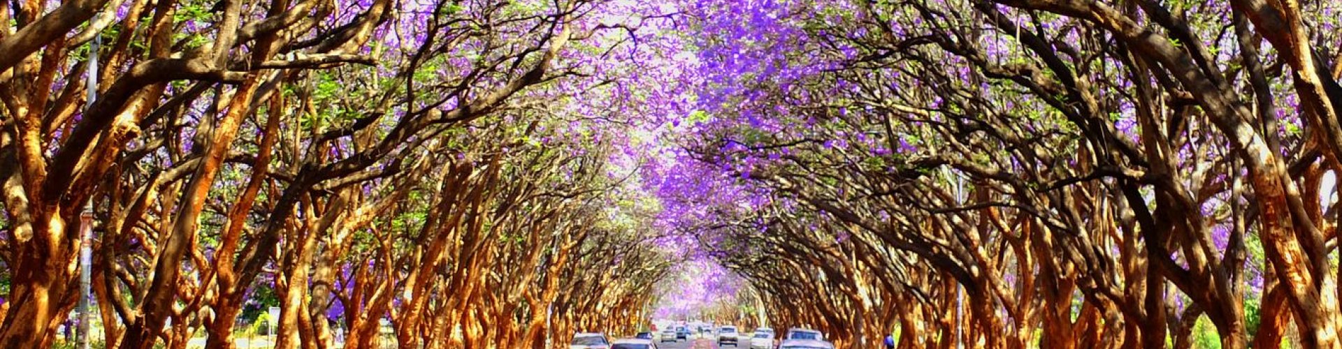 Scenic view of Harare, ZW evening skyline