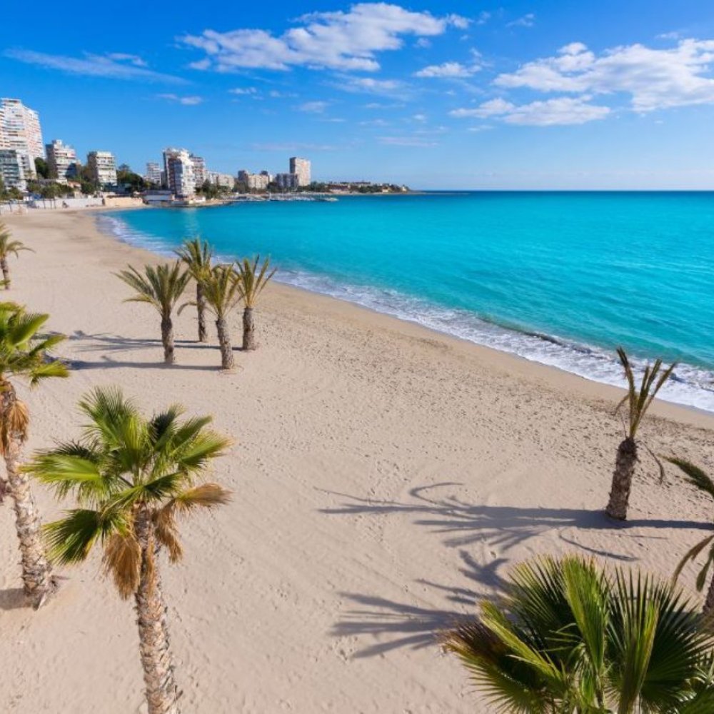 Standard Post with Image