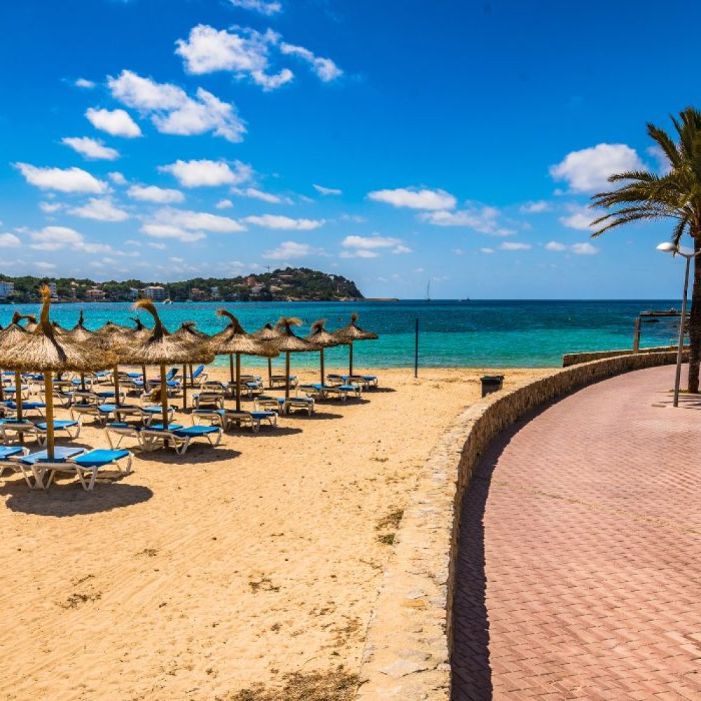 Standard Post with Image