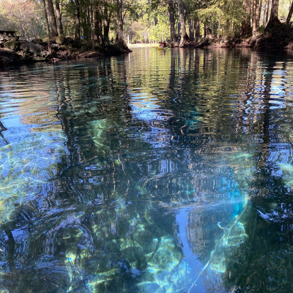 Standard Post with Image