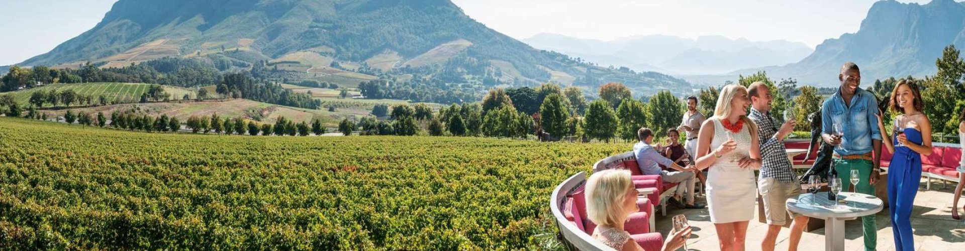 Sunset over Stellenbosch vineyards