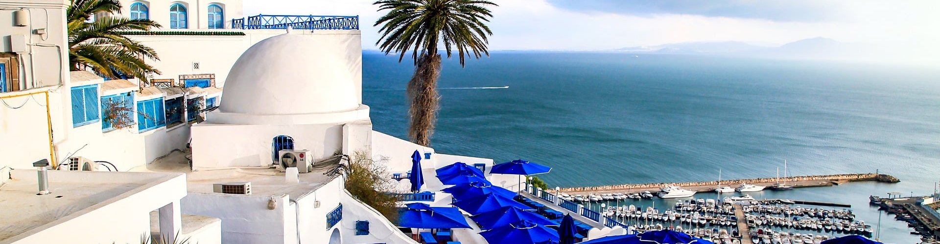 Scenic view in Tunis, TN