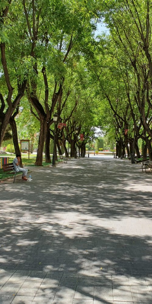 Street scene in Molina de Segura