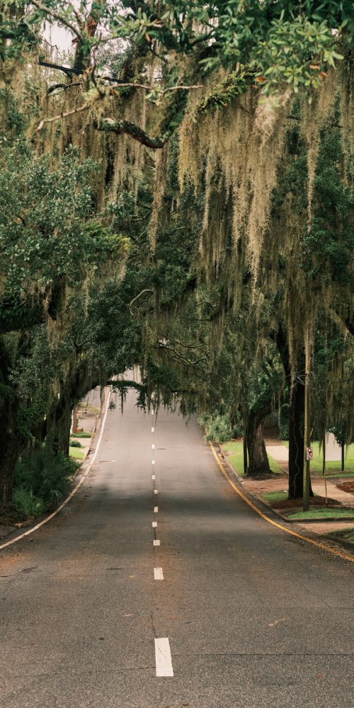 Cyclists enjoying Tallahassee bike-share
