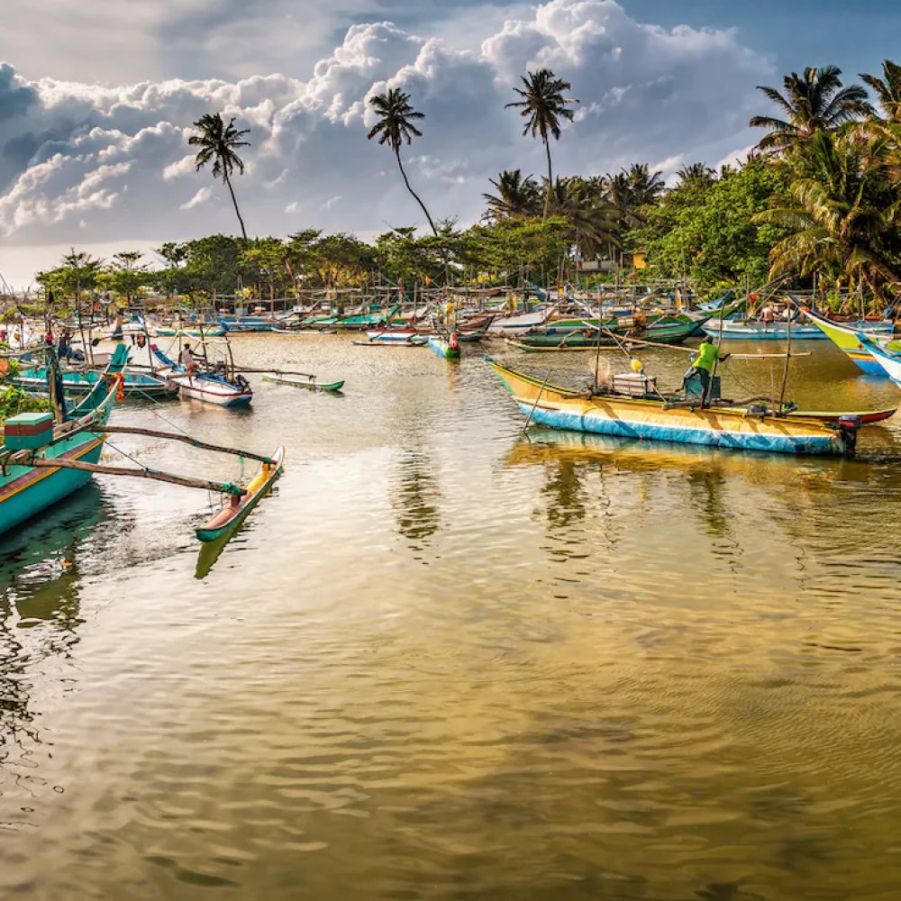 Standard Post with Image