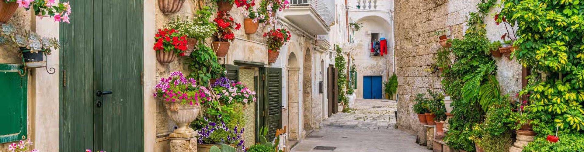 Monopoli, IT