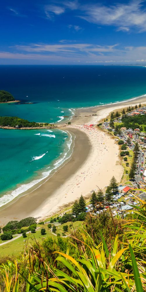 Biking and public transport in Tauranga